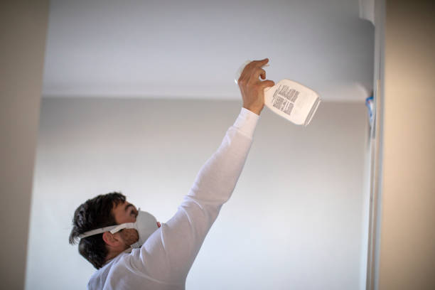 Mold Removal and Inspection in Somerton, AZ