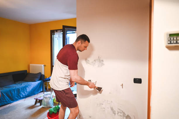 Best Mold Damage Repair  in Somerton, AZ